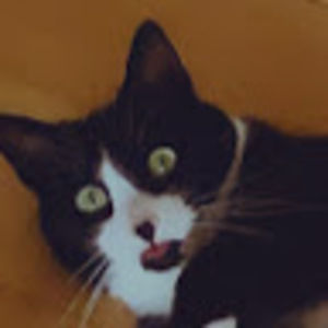 Meet your Posher, Addison